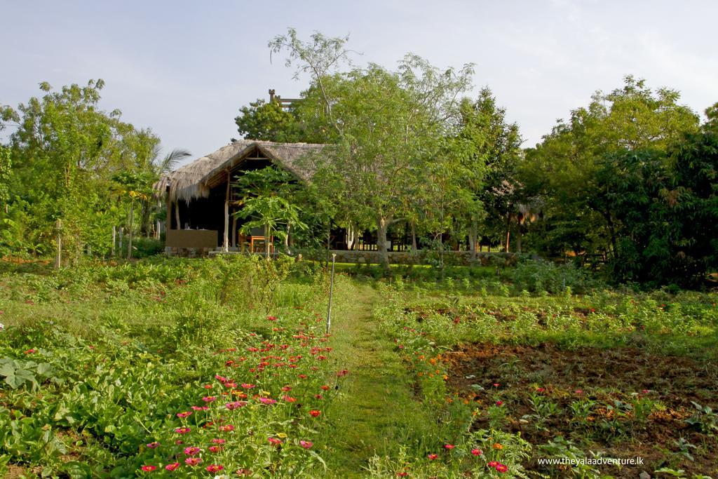 เดอะ ยาลา แอดเวนเจอร์ เฮาส์ Hotel ทิซซามาฮารามา ภายนอก รูปภาพ