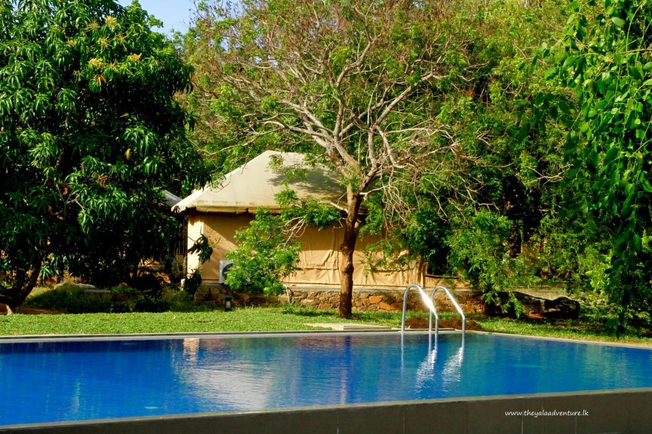 เดอะ ยาลา แอดเวนเจอร์ เฮาส์ Hotel ทิซซามาฮารามา ภายนอก รูปภาพ